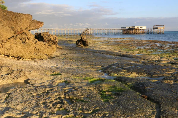 Ocean shore after low tide — Stock Photo, Image