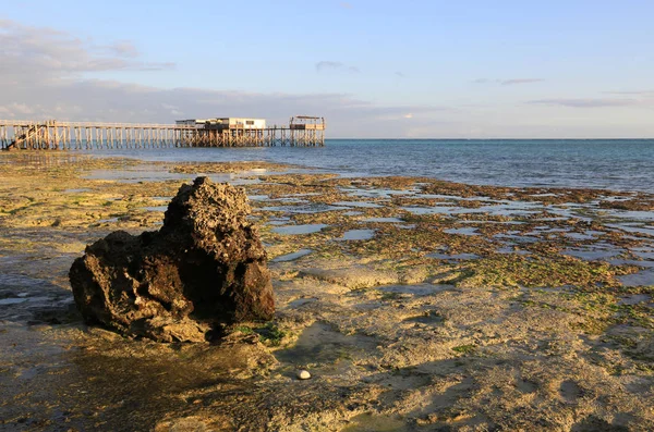 Ocean shore after low tide — Stock Photo, Image