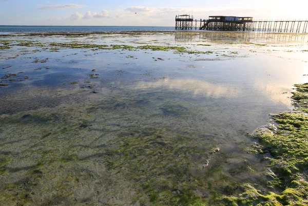 Costa oceânica após maré baixa de manhã — Fotografia de Stock