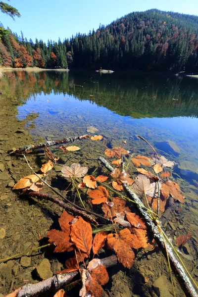 湖畔の秋 — ストック写真