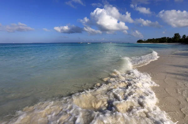 Sommerscene på havets strand – stockfoto