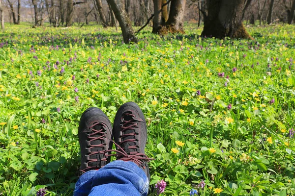 Wanderer stiefeln auf grüne Wiese im Wald — Stockfoto