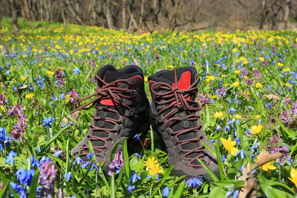 Botas turísticas no prado na floresta de primavera — Fotografia de Stock