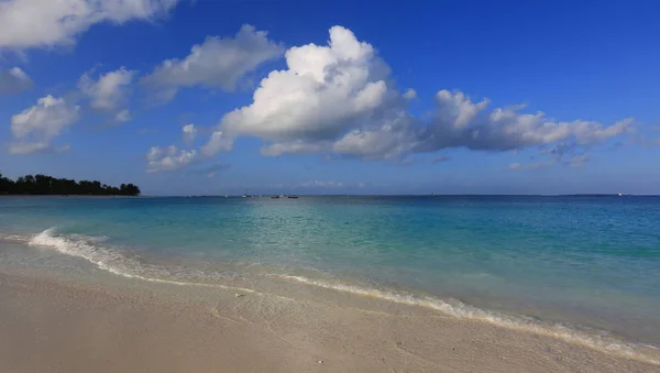 Fin strand i havet – stockfoto