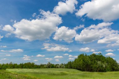 bozkırda yaz günü