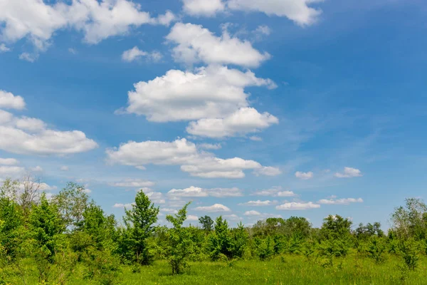 Zomer landschap in de steppe — Stockfoto