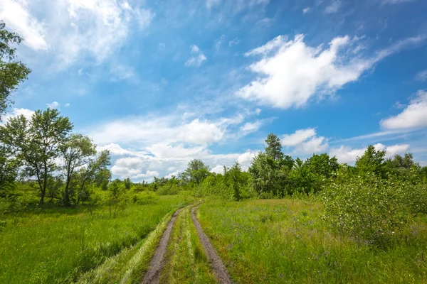 Chemin de terre dans la steppe — Photo