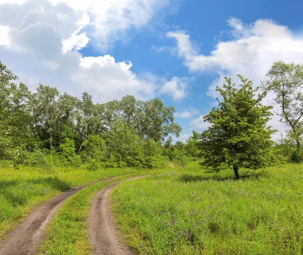 Sleur weg in de steppe — Stockfoto