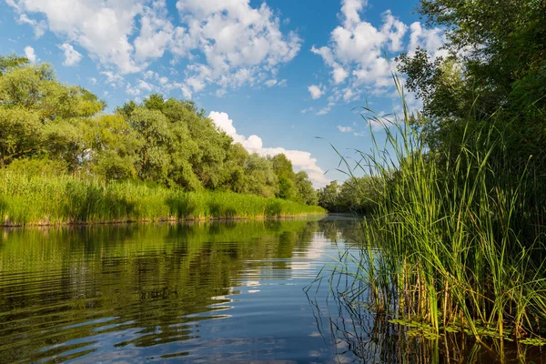 Belle rivière dans la journée ensoleillée — Photo