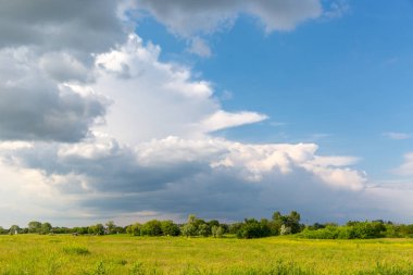 Bozkır yeşil çayır