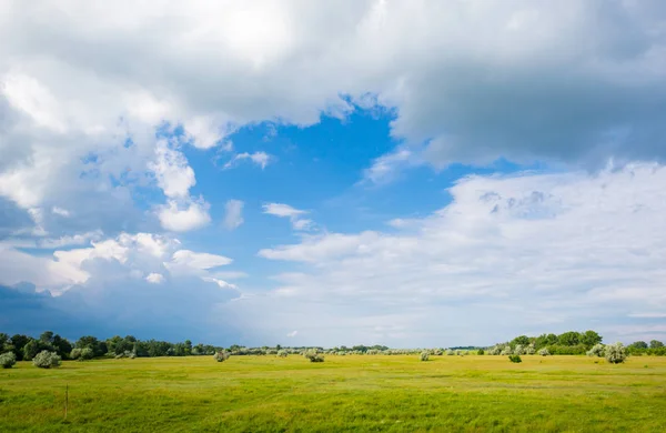 Grön äng och moln — Stockfoto