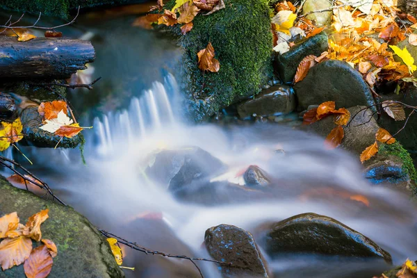 Tekoucí horského potoka v podzimní lesích — Stock fotografie
