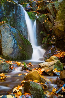Sonbahar ormanında şelale