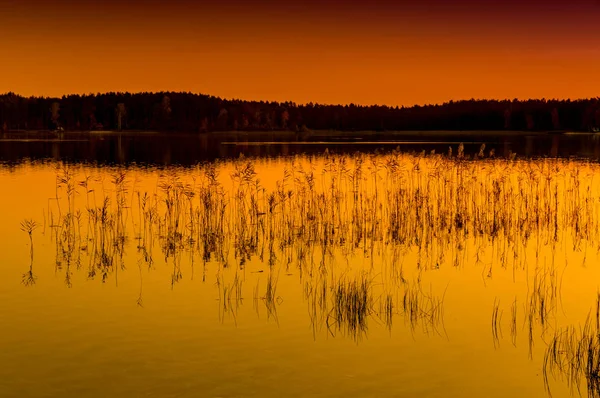 Paisagem da noite no lago — Fotografia de Stock