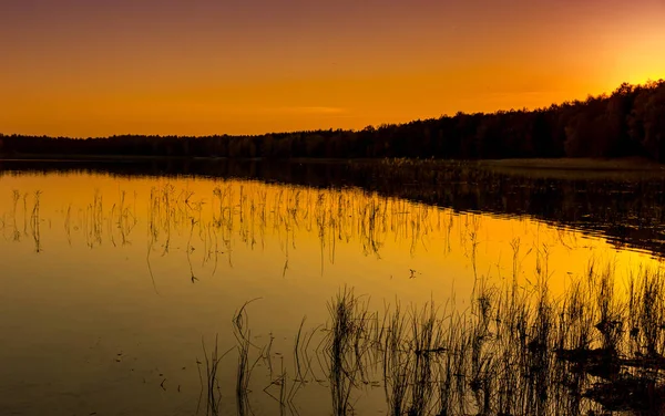 Seara pe lac — Fotografie, imagine de stoc