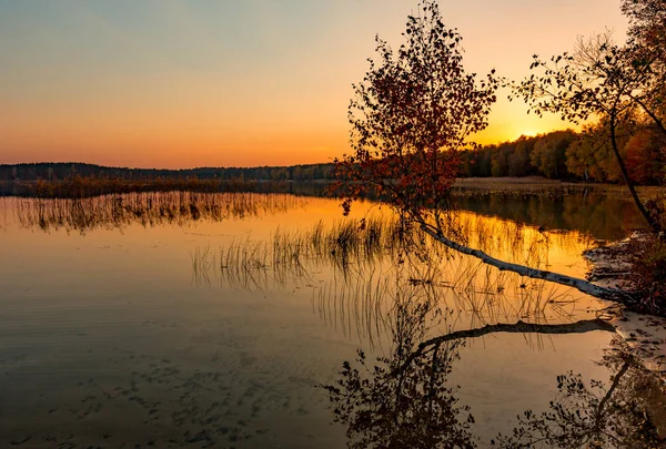 Pôr-do-sol outono no lago — Fotografia de Stock