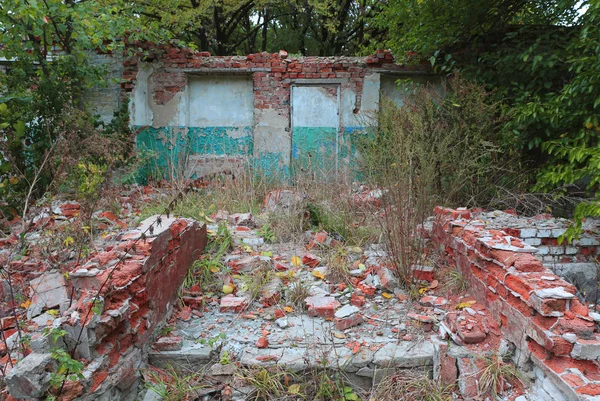 Antigua casa de demolición en el bosque —  Fotos de Stock