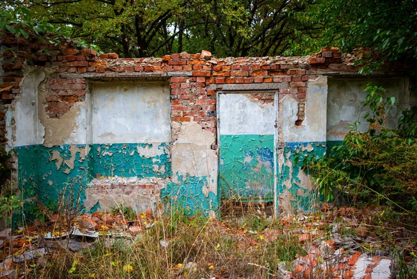 Antigua casa abandonada en bosque profundo —  Fotos de Stock