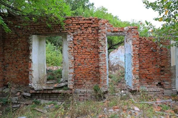 Старый заброшенный дом в глубоком лесу — стоковое фото