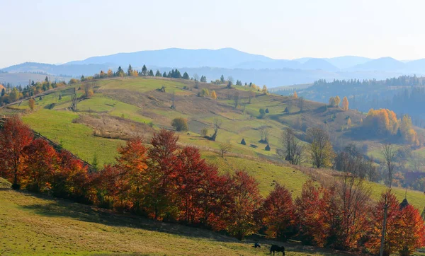 Schöne Herbstlandschaft Den Bergen Karpaten Ukraine — Stockfoto