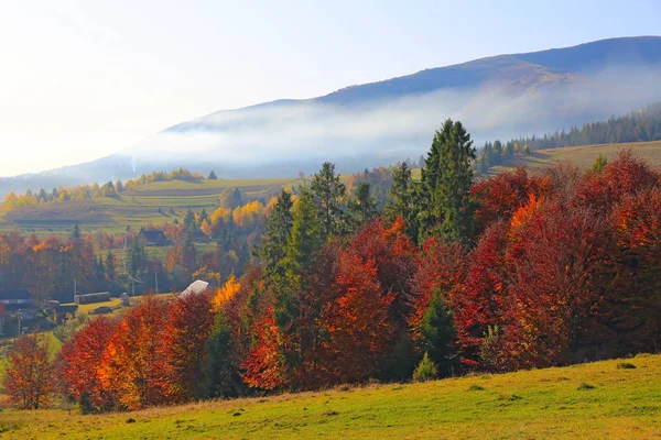 Herbstszene in den Bergen — Stockfoto