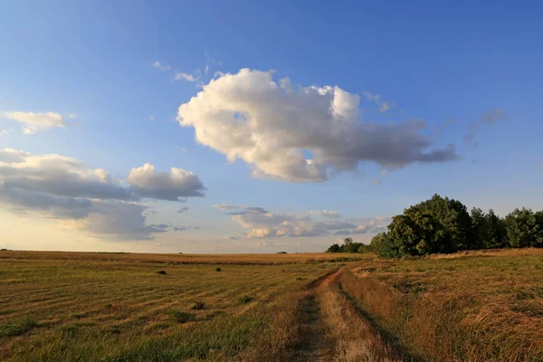 Nuvem no céu sobre o prado — Fotografia de Stock