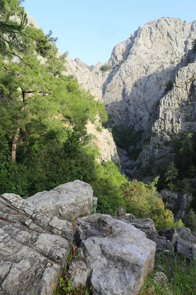 Poranny krajobraz w kanionie Goynuk — Zdjęcie stockowe