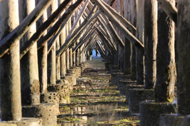 Pridge yığınları okyanusta gelgit seviyesinde