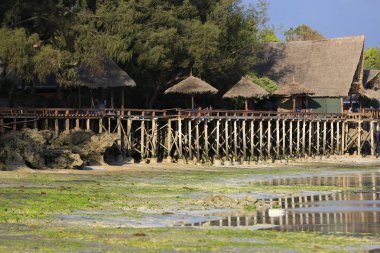 Okyanus kıyısı sabah alçak gelgitte