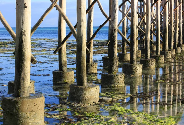 Bridge Piles on ocean shore at low tide — Stock Photo, Image