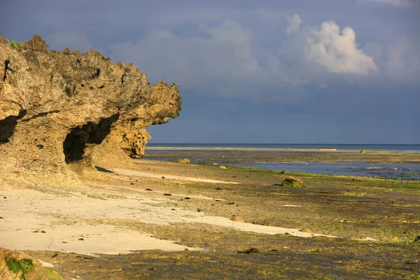 Oceano con bassa marea — Foto Stock