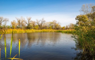 Göl kenarında sonbahar