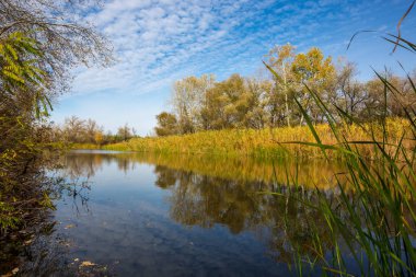 Ormandaki nehirde güzel bir sonbahar günü