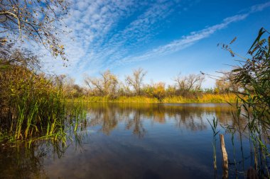 Nice autumn scene on lake in forest