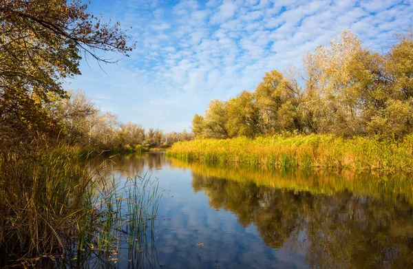 Podzim slunečný den na řece v lese, — Stock fotografie