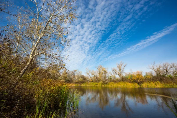 Autumn scene on lake — Stock Photo, Image