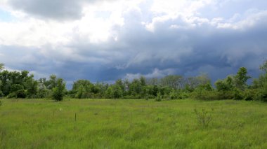Ormandaki yeşil çayır üzerinde gök gürültülü fırtına. Ukrayna 'dan al.