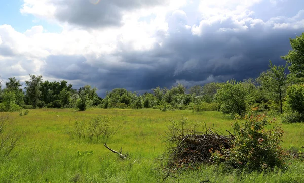 Tempestade Está Aproximando Estepe Verde Paisagem Ucrânia — Fotografia de Stock