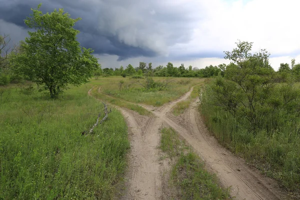 Landscape with fork roads in green steppe before thunderstorm, Ukraine