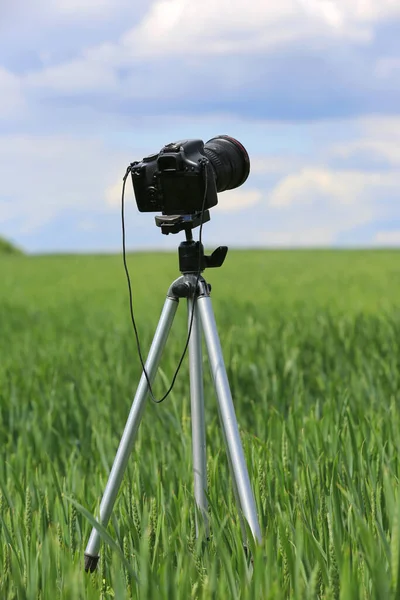 Photocamera Tripod Grass Meadow — Stock Photo, Image