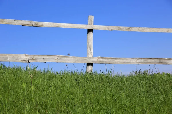 青い空の下の緑のガラスの上の木製の柵 — ストック写真