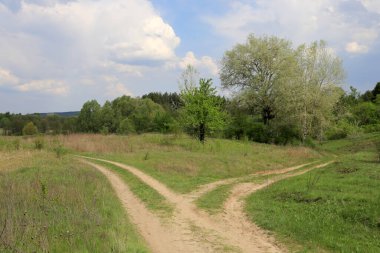 Bozkırda çatallı toprak yollar, yaz günü