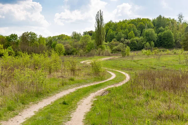 Yeşil bozkırda monoton yollu yaz manzarası