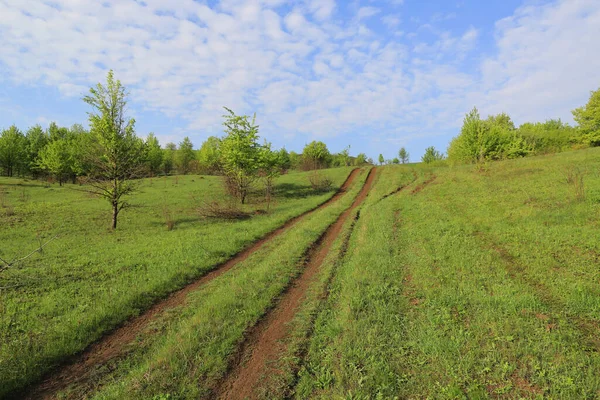 Paysage Matin Avec Chemin Terre Sur Colline Verte — Photo