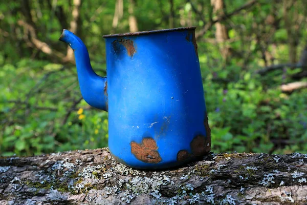 古い失われた青のケトルOn Log Forest — ストック写真
