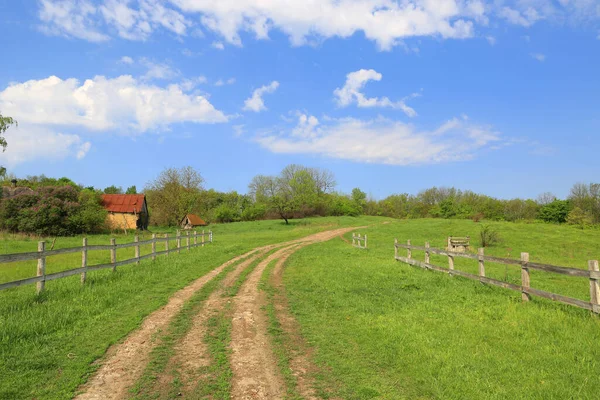 Landscape Rural Rut Road Green Meadow — Stock Photo, Image