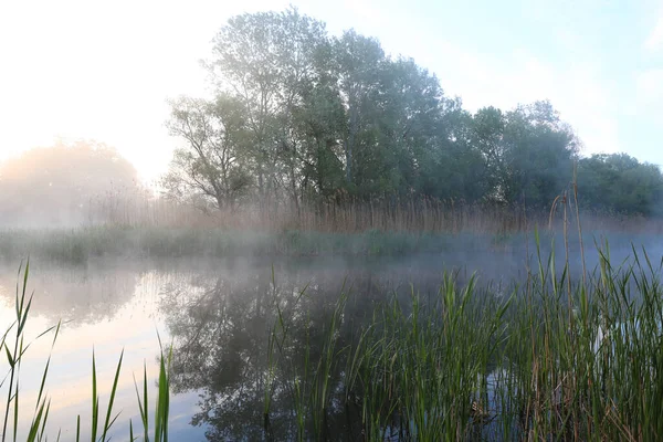 Scena Mattutina Con Nebbia Sul Fiume — Foto Stock