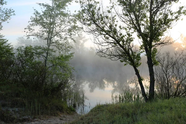 Scena Del Mattino Presto Sulla Riva Del Fiume Nebbia Dell — Foto Stock