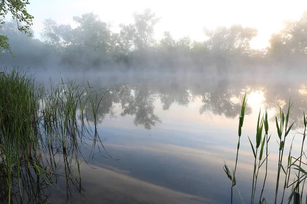 Bel Paesaggio Mattutino Con Nebbia Sul Fiume Primavera — Foto Stock