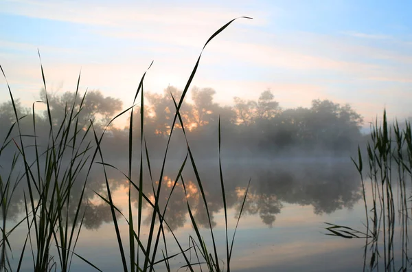 Bella Scena Tranquilla Sul Fiume Prima Dell Alba Nebbia Mattutina — Foto Stock